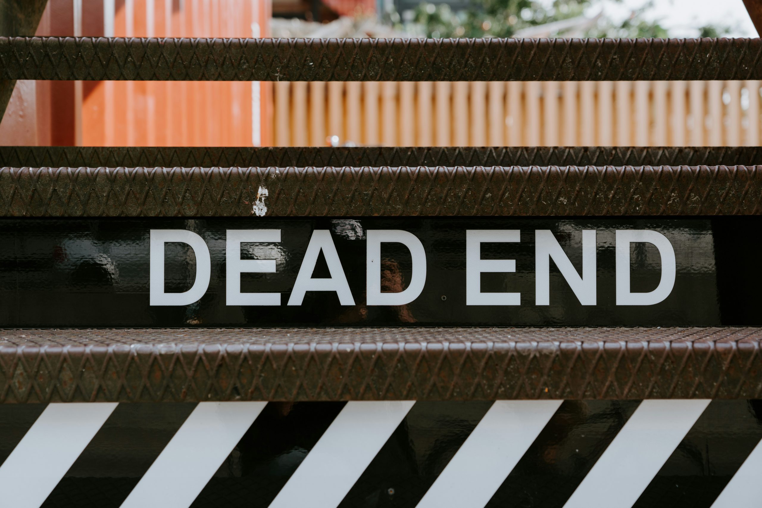 claudio-schwarz-Yb6x65cUCSk-unsplash claudio-schwarz-Yb6x65cUCSk-unsplash