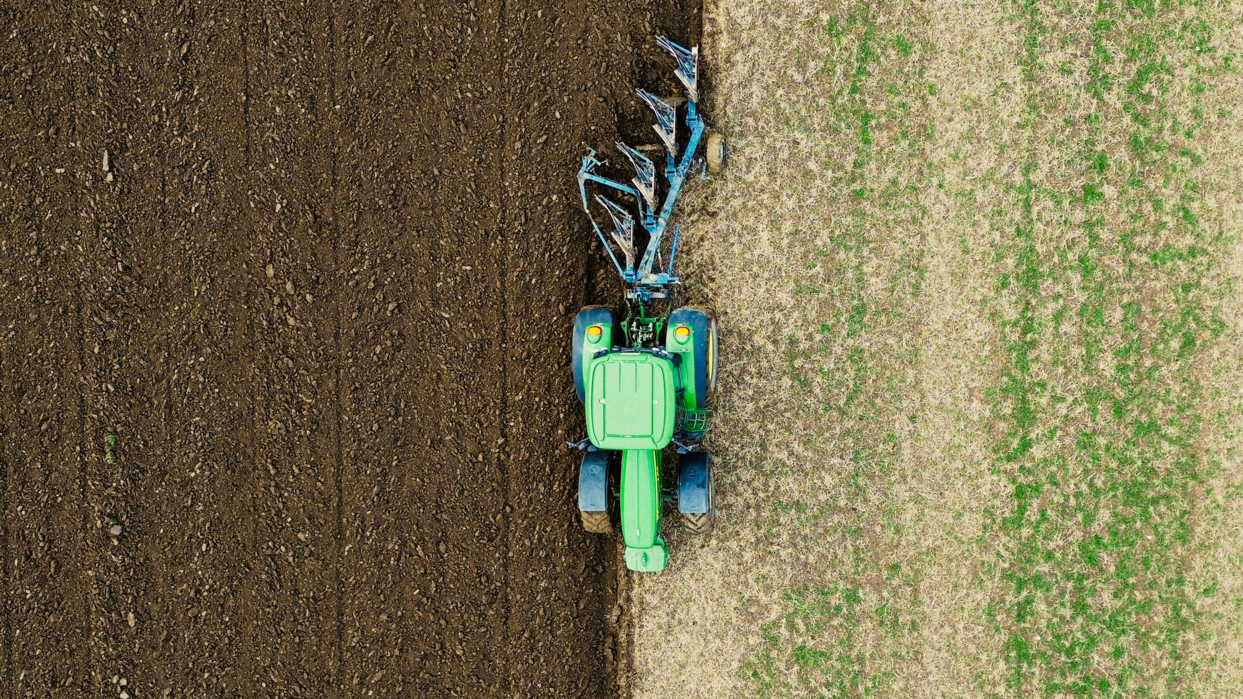 julia-koblitz-_6tVlnycr9I-unsplash