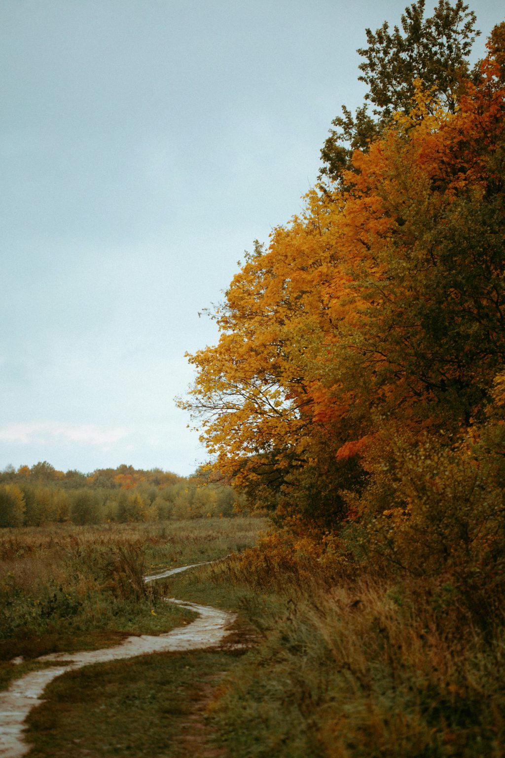 kate-laine-qLlfv_t1TQU-unsplash